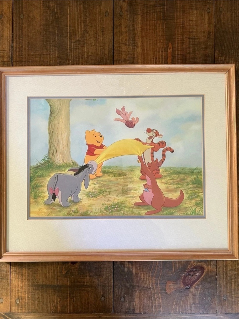 Disney Winnie the Pooh Residents of the 100 Acre Wood Framed Print